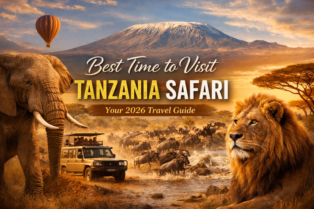 Best Time to Visit Tanzania Safari