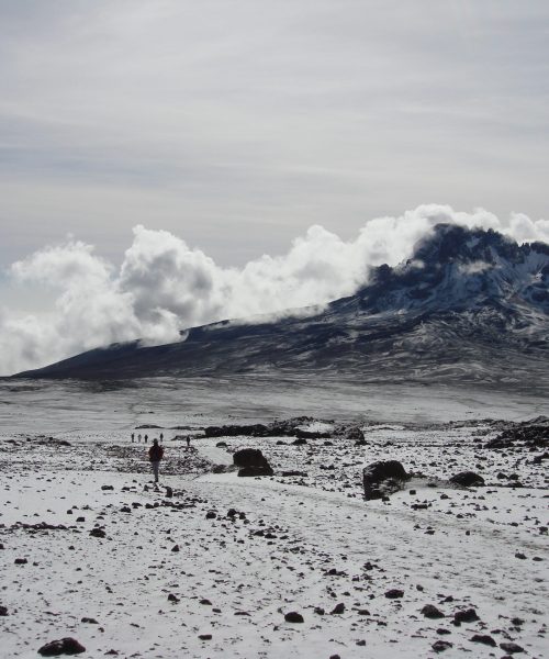 PHOTO GALLERY IMAGE HORIZONTAL 11